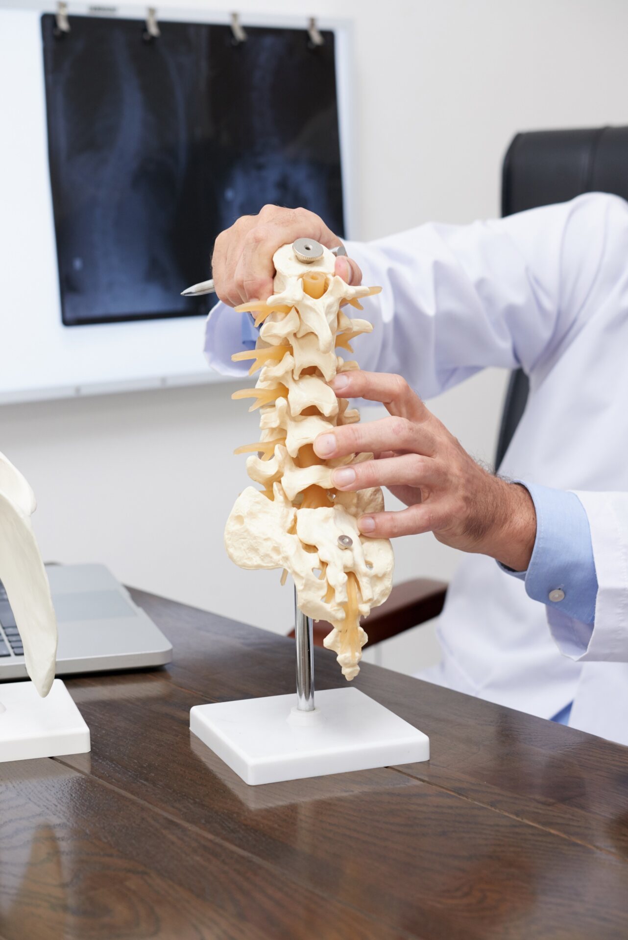 spine model 2021 08 29 04 28 09 utc Traumatologo Ortopedista en Tijuana https://traumatologoentijuana.com